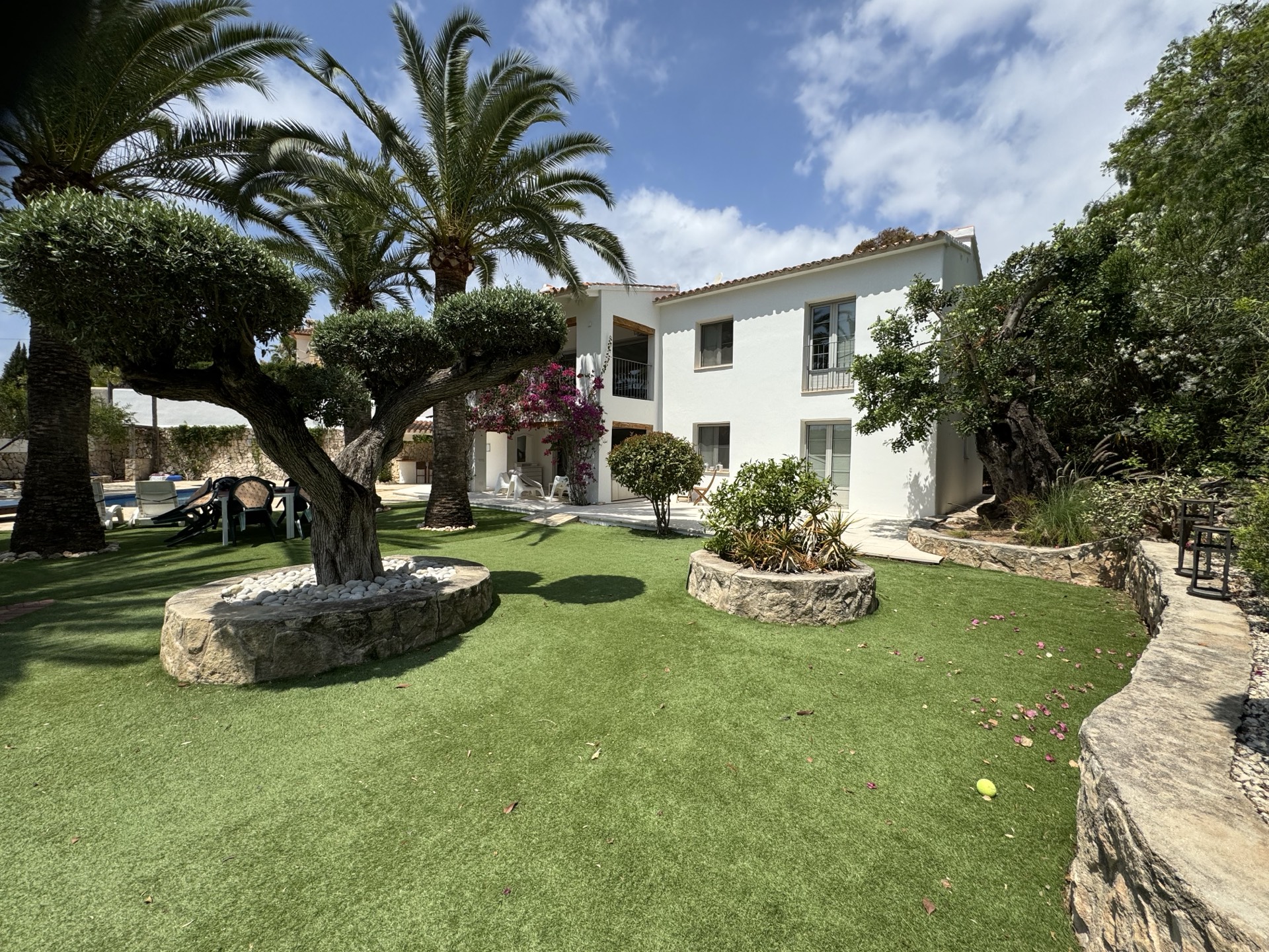 Villa La Barraca jardín y olivo