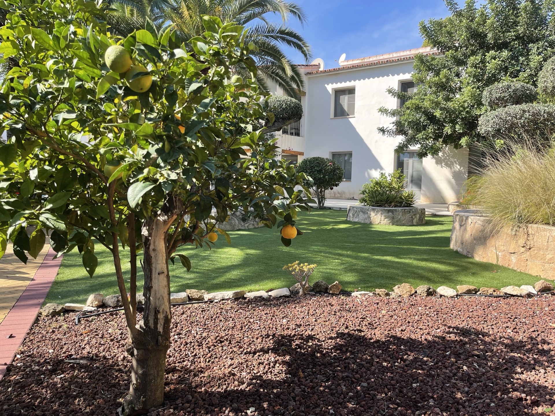 Villa La Barraca — photo 71